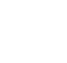 Sector Focus Icon